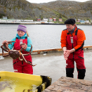 Kongekrabbe eksporteres fra Kjøllefjord til fine restauranter i mange deler av verden. Foto: Terje Bendiksby, NTB scanpix.
